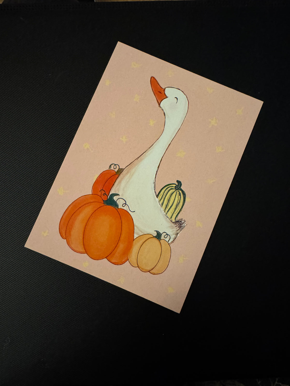 October Duck Post – Catch Up