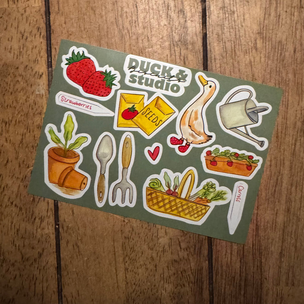 June Duck Post – Catch Up