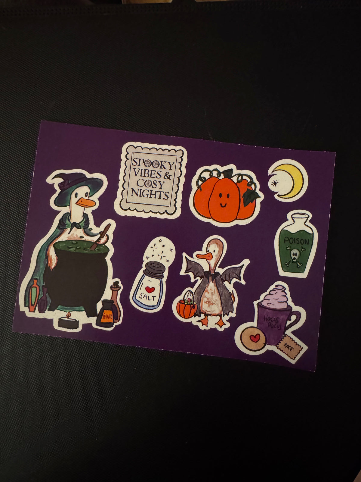 October Duck Post – Catch Up