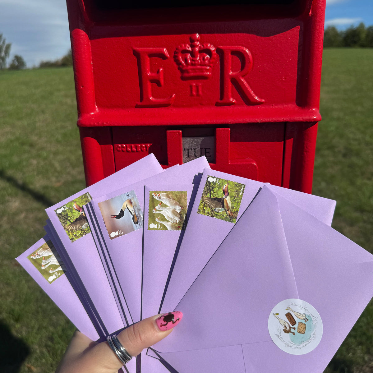September Duck Post – Catch Up