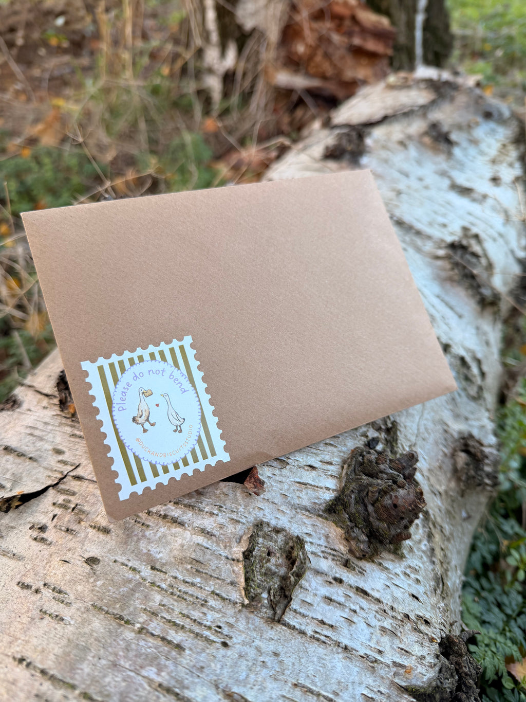 Duck and Biscuits Studio | Duck Post UK Only