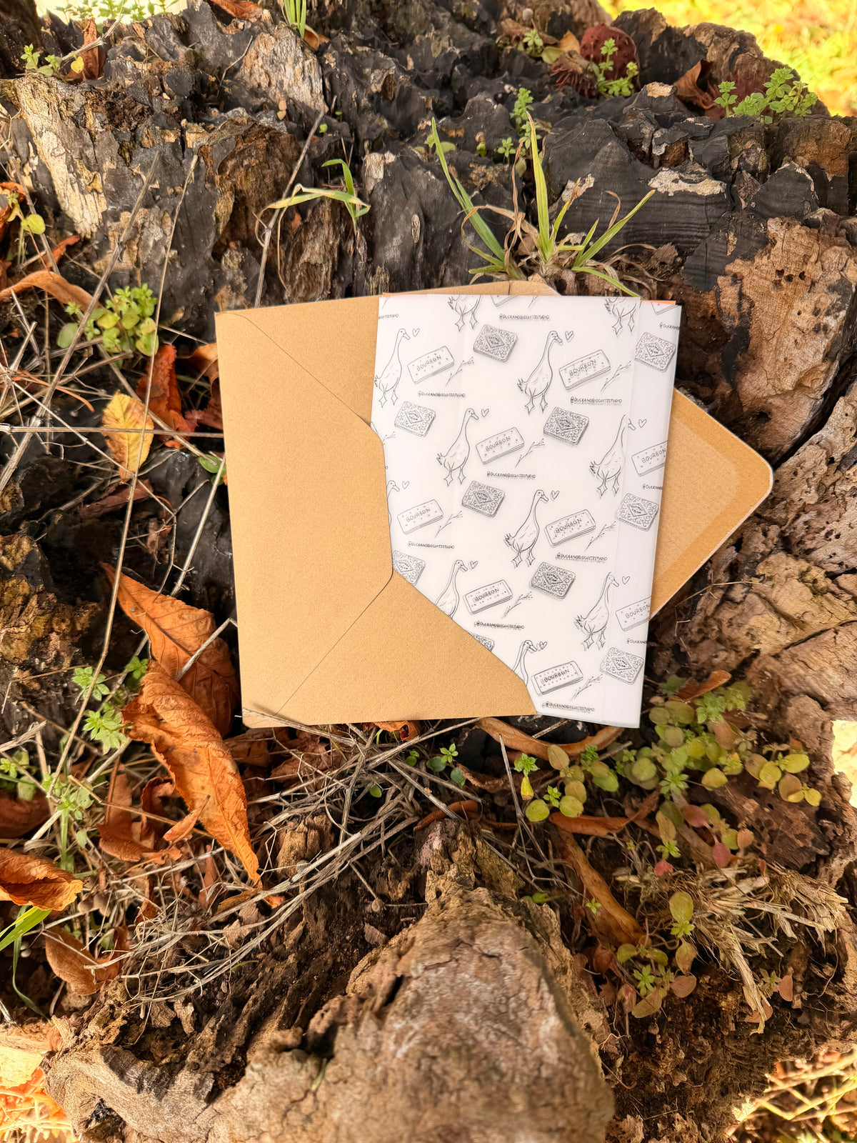 Duck and Biscuits Studio | Duck Post UK Only